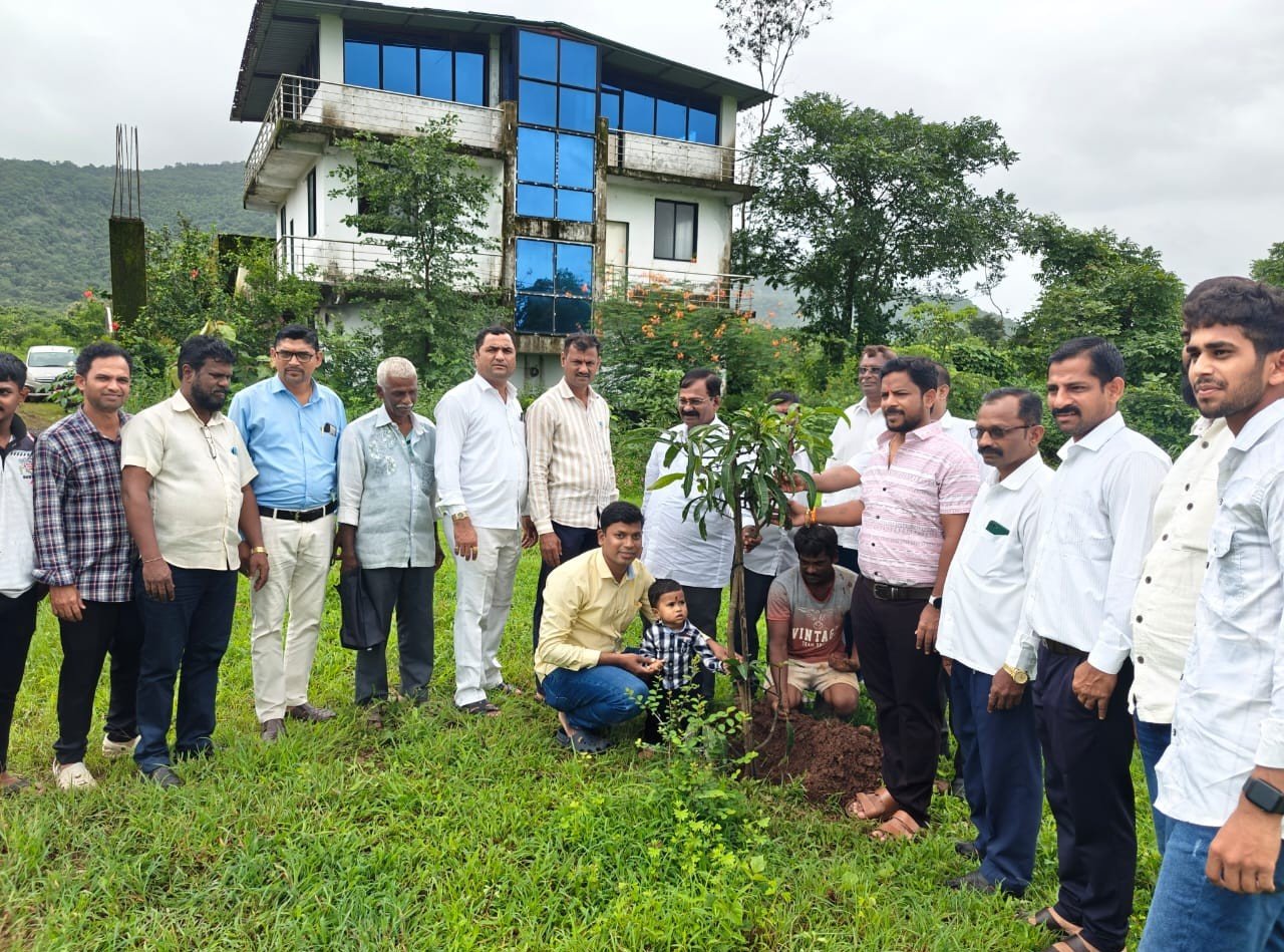 Tree Plantation
